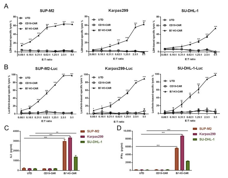B7-H3 T cell effects on B7-H3-expressing ALCL cells (SUP-M2, SU-DHL-1, and Karpas 299).