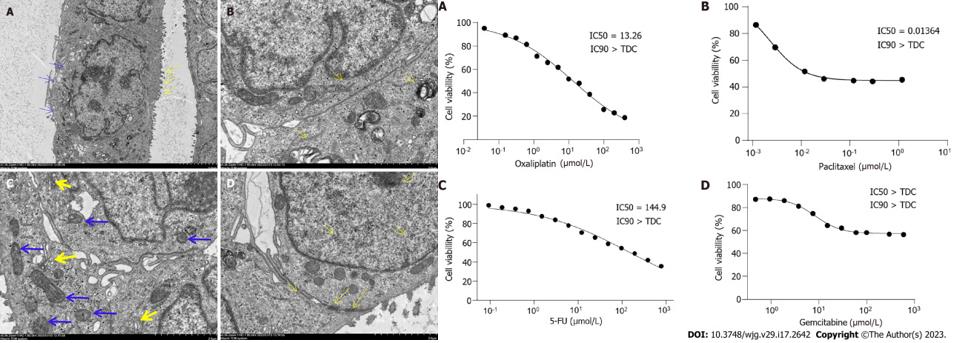 Left: Ultrastructure of DPC-X1 under a transmission electron microscope; Right: Drug sensitivity test.