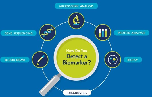 PK/PD Biomarker Analysis