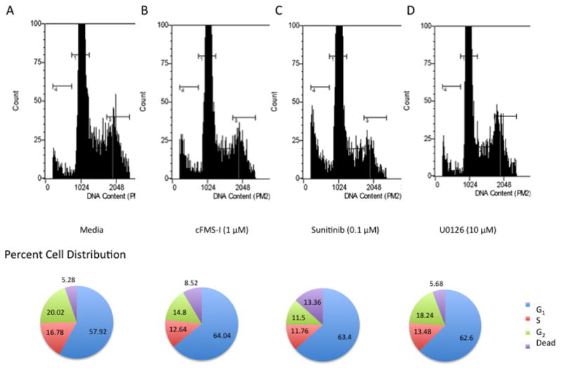 Fig. 4 The effect of colony-stimulating factor 1 receptor inhibitor, sunitinib, and U0126 on Mono-Mac 1 cell cycle distribution. (Kogan M, et al., 2012)