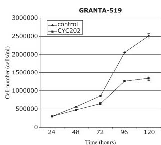 Growth curves of Granta-519 cells continuously exposed to the corresponding IC50 dose of CYC202.
