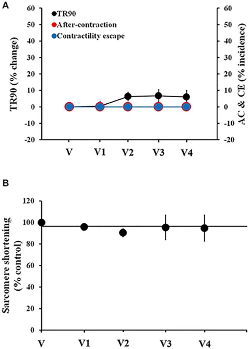Fig. 2. Stability of contractility recordings over time in human cardiomyocytes.