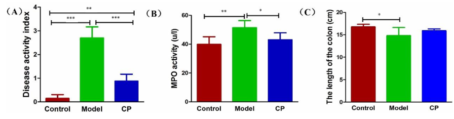CP attenuates inflammation in TNBS-induced colitis. Effects of CP on the disease activity index (A), MPO activity (B) and the length of the colon (C). The differences in (A), (B) and (C) were analyzed using one-way ANOVA followed by Tukey's post hoc tests (* P < 0.05, **P < 0.01).