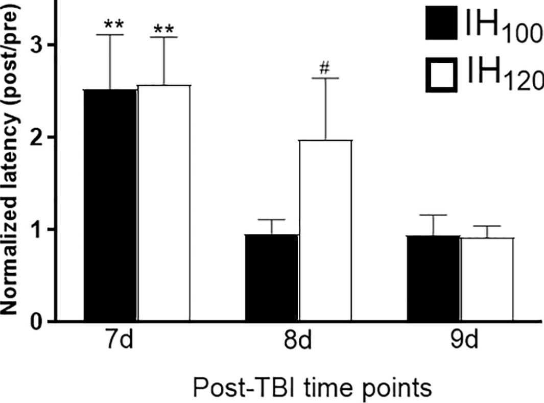 Fig. 2 Effect of IH100 and IH120 TBI on Barnes maze (BM) performance.