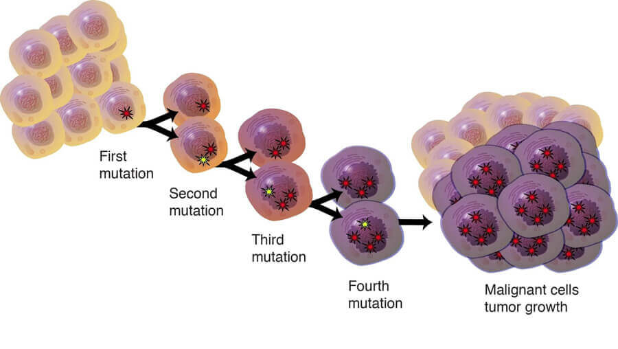 Immortalized Cell Culture Guide