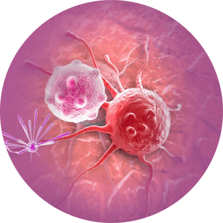 Cell Culture Guide