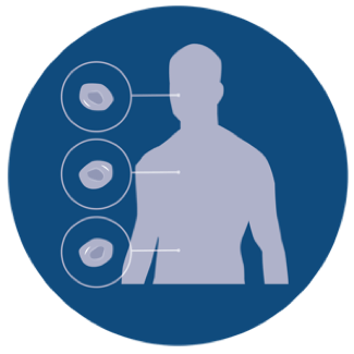 Cell Culture Guide