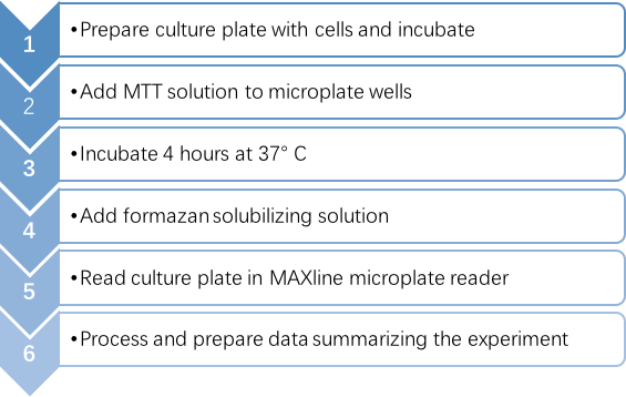 The process of the MTT colorimetric assay