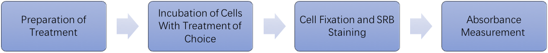 Comparison of Different Methods to Measure Cell Viability