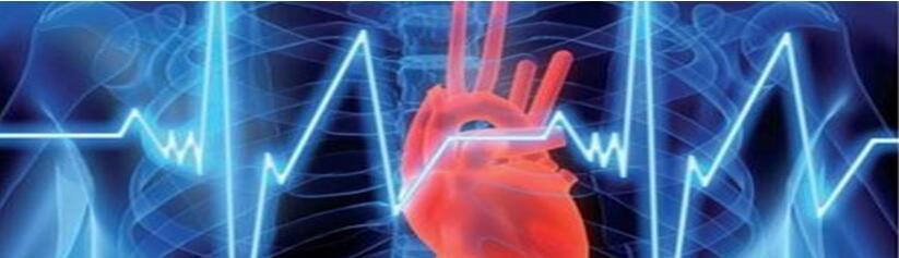 3D Cardiovascular Toxicity Service