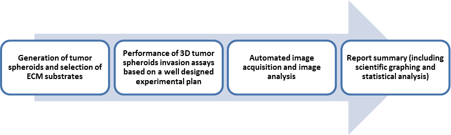 3D Invasion Assay