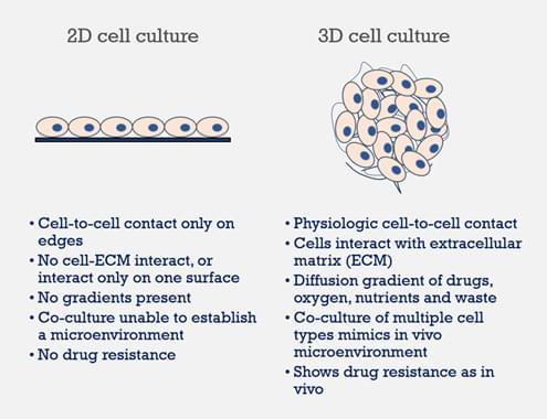 3D-based Drug Discovery Services