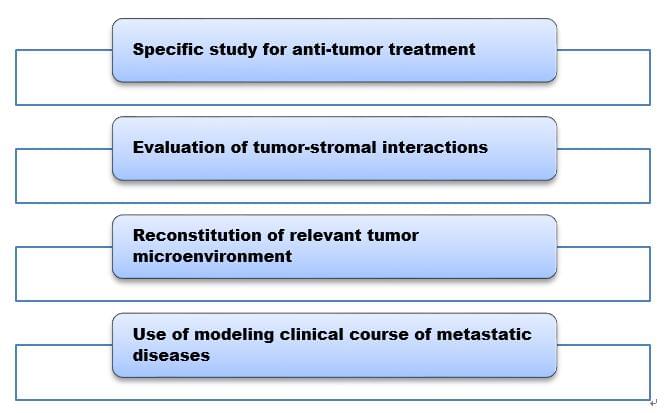 Animal tumor models