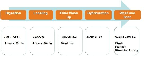 Molecular Karyotyping (aCGH) Service