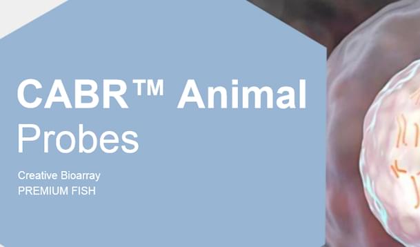 CABR™ Animal Probes Catalogue-Creative Bioarray