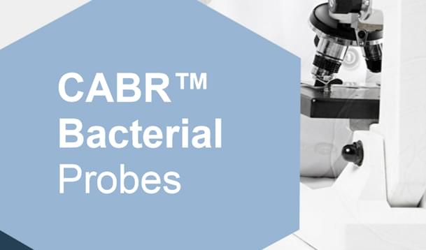 CABR™ Bacterial Probes Catalogue-Creative Bioarray