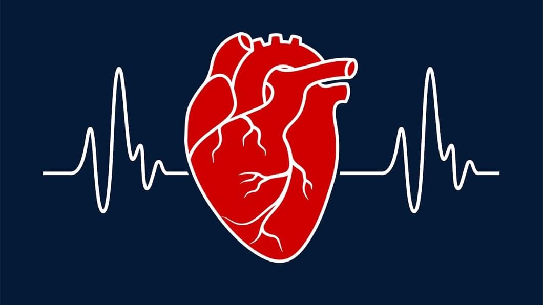 Cardiovascular Diseases Modeling and Assay Services