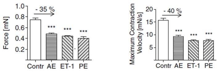 The comparisons of force of contraction and contraction velocity between different Cardiac hypertrophy in vitro models.