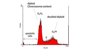 Cell Cycle assay kits