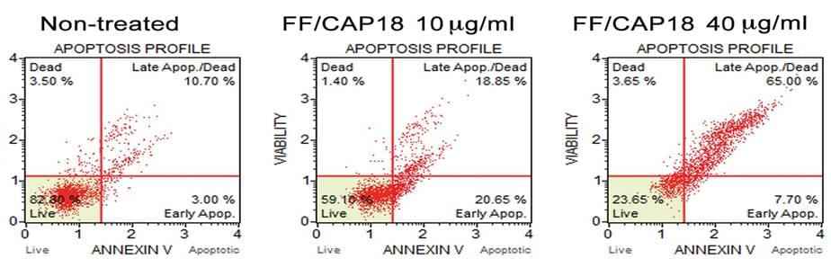 Annexin V binding assays -Detection of apoptosis of HCT116 cells