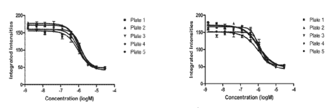 Cellular Phosphorylation Assays