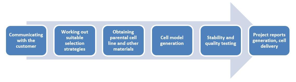 Drug-resistant cell model generation service 