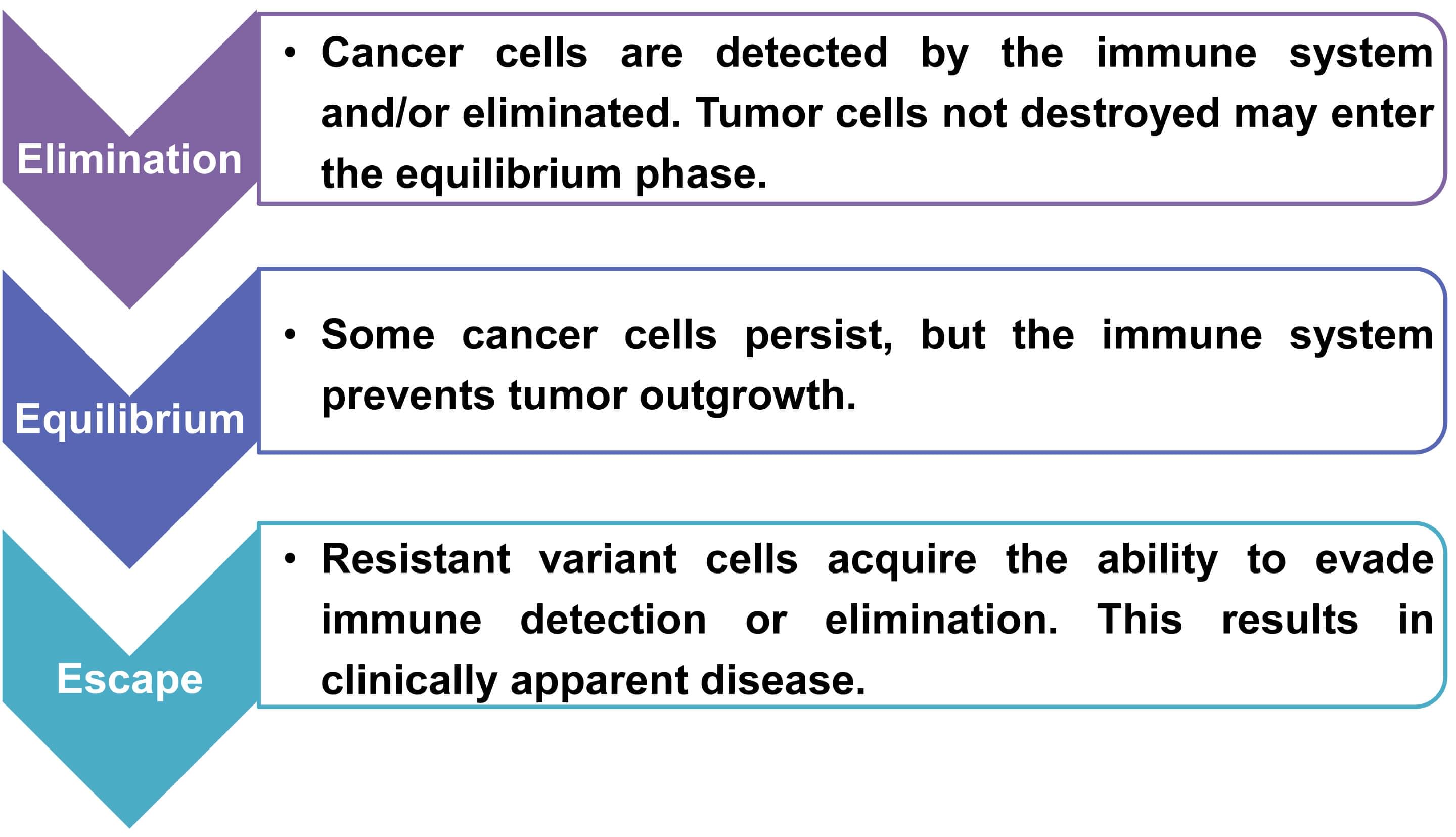 Immuno-Oncology