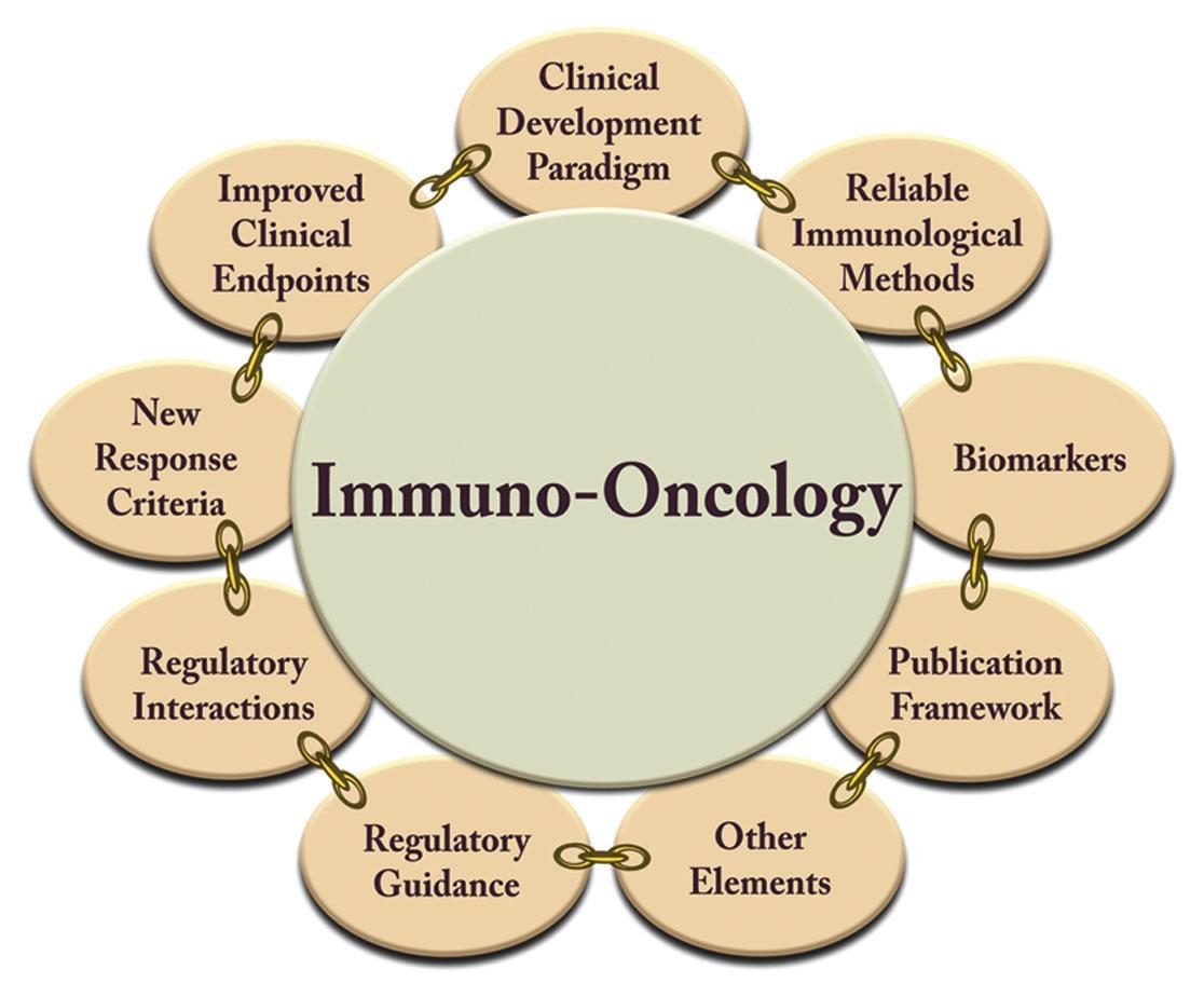 Immuno-Oncology