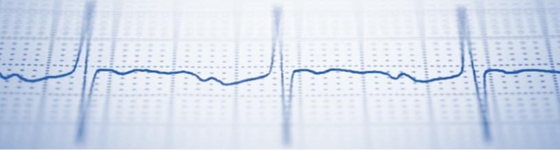 In Vitro Cardiotoxicity