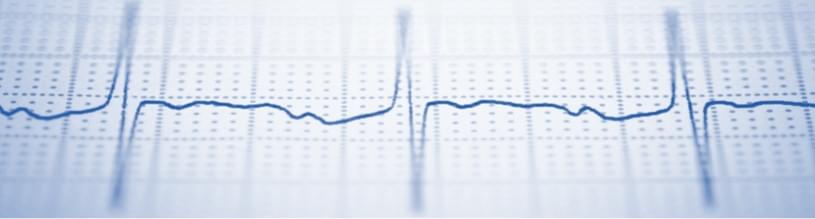 In Vitro Cardiotoxicity