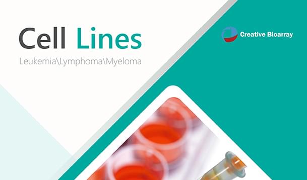 Leukemia-Lymphoma-Myeloma Cell Lines