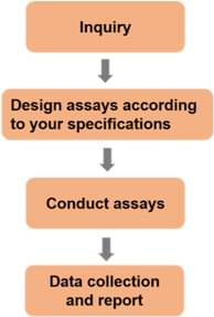 Other Customized ADME Assays