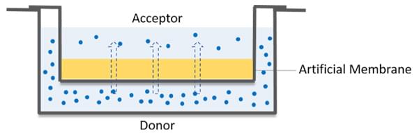 Parallel Artificial Membrane Permeability Assay (PAMPA)