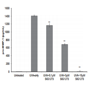 Photo-aging & UV-Protection