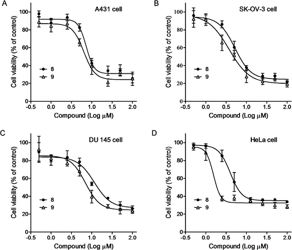 Sulforhodamine B (SRB) Assay