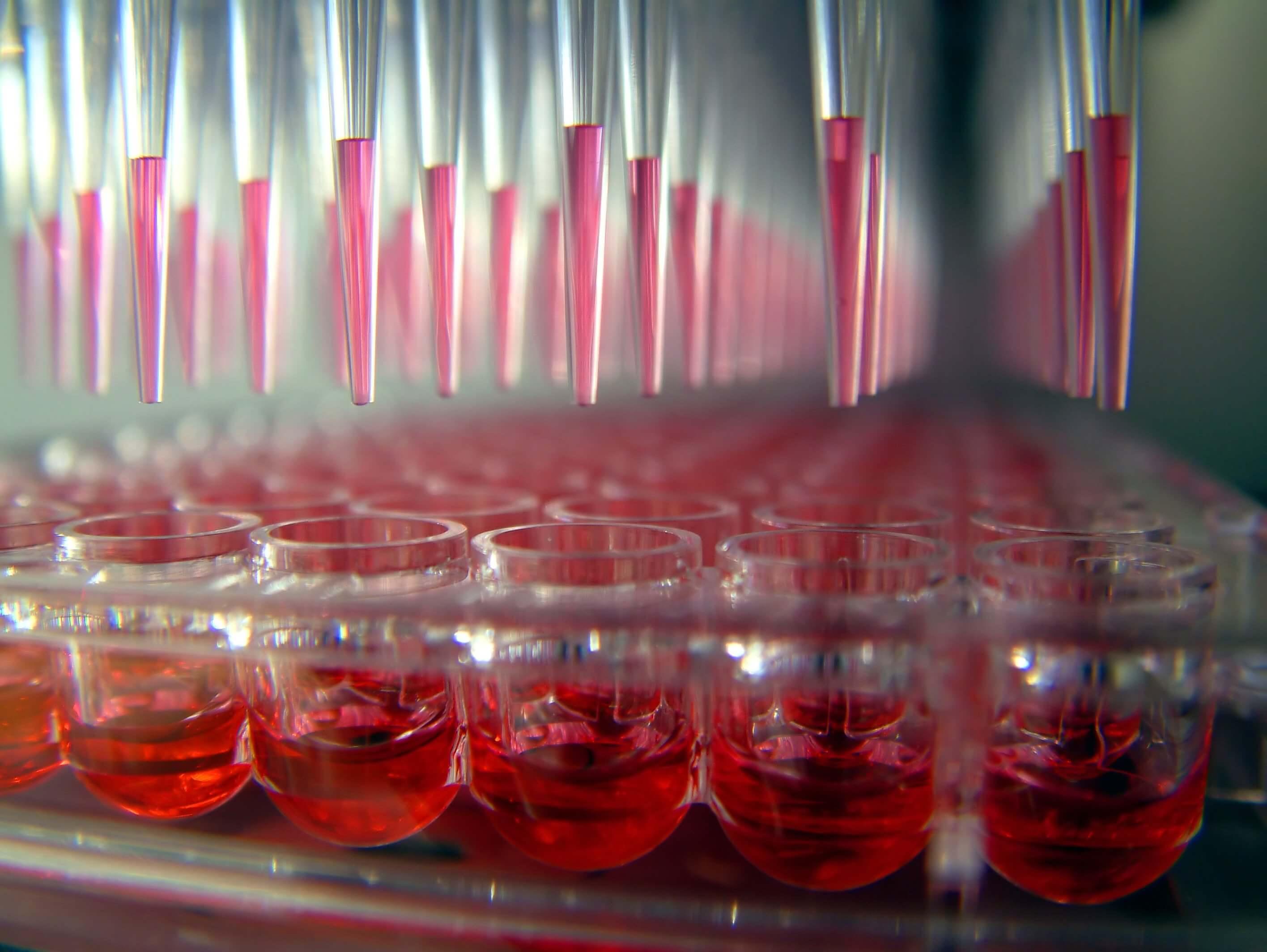 Cell-Based Drug Discovery