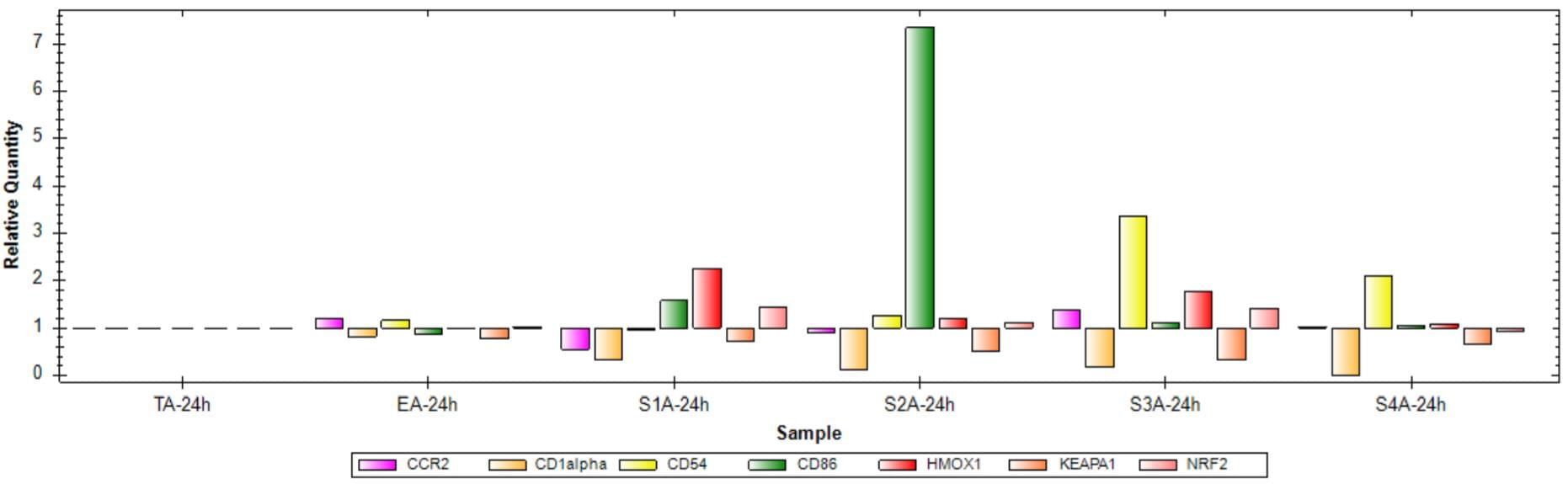 Gene expression analysis after treatment for 24 hours with sensitizers