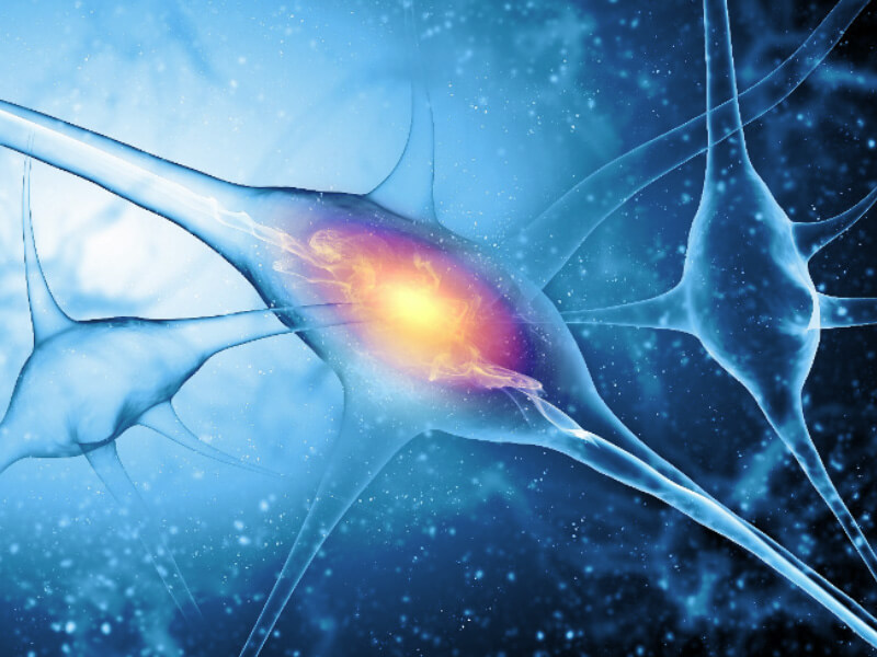 Electrophysiology Platform