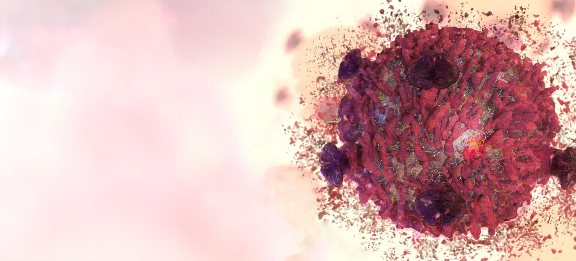 Biotech Company with Research & Histology Services | Creative Bioarray