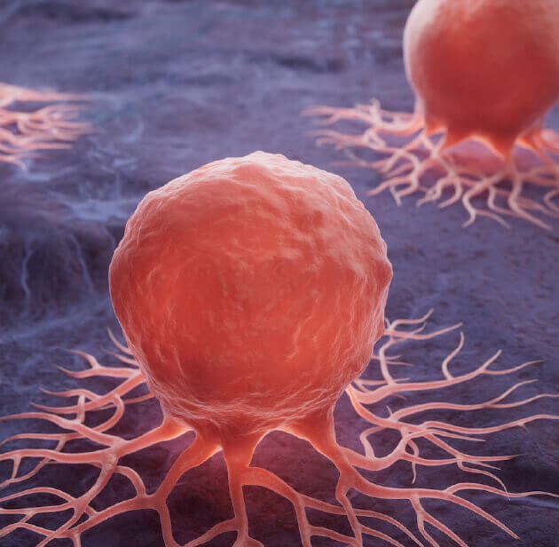 Tumor Cells