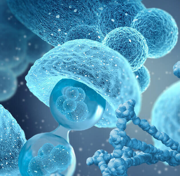 Stem Cells