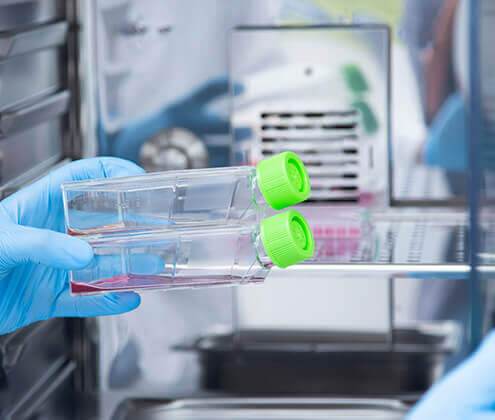 Cell Immortalization