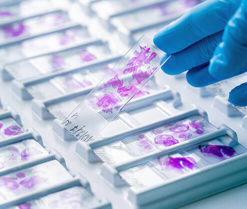 Histology Services