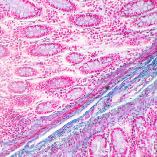 Life Science Article