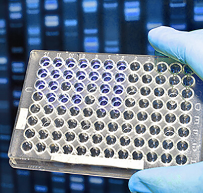 Cell-Based Assay Services
