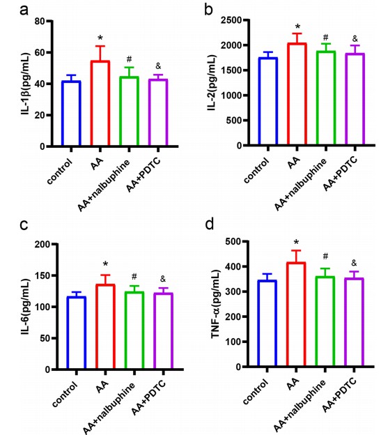 Levels of inflammatory factors in the plasma of different animal groups.