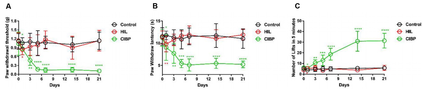 Graphical representation illustrating the exacerbation of allodynia symptoms in response to mechanical, thermal, and cold stimuli following the injection of Lewis lung cancer cells.