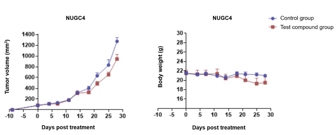 Chart illustrating effects of test compound on tumor volume and body weight in humanized CD34+ HSC mice with NUGC4 cell implants.