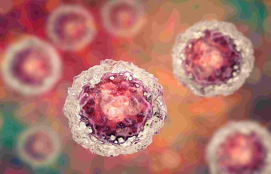 Tumor Stem Cells