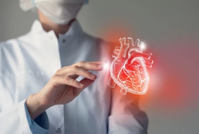 IF Protocol for Cardiomyocytes